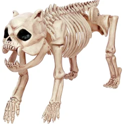 Skeleton Bones The Dog Prop