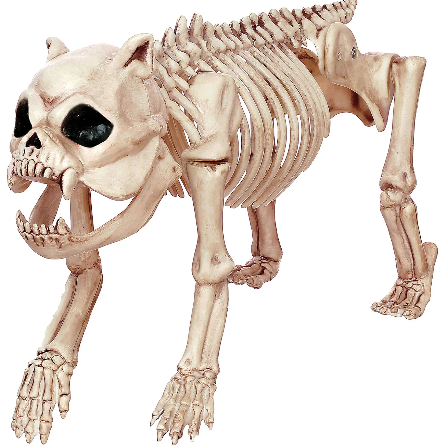 Skeleton Bones The Dog Prop
