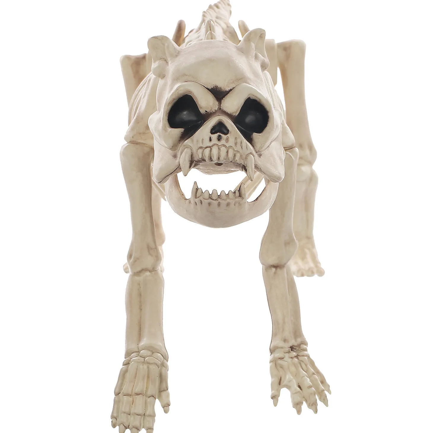 Skeleton Bones The Dog Prop