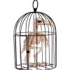 Skeleton Crow In A Cage