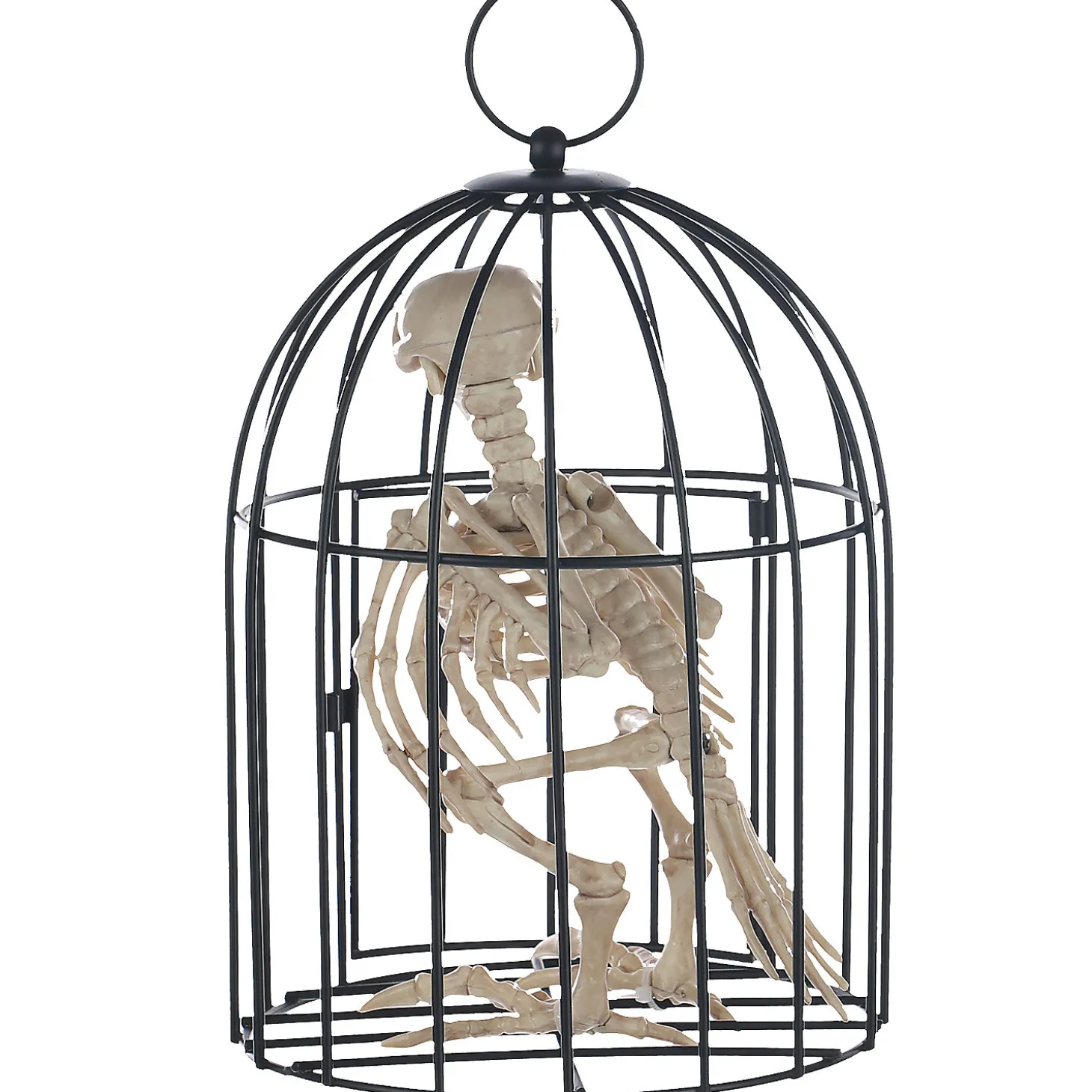 Skeleton Crow In A Cage