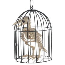 Skeleton Crow In A Cage