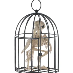 Skeleton Crow In A Cage