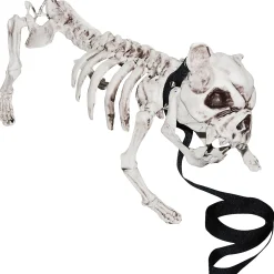 Skeleton Dog