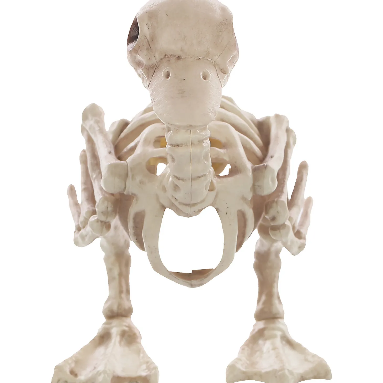Skeleton Duck Decoration