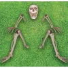 Skeleton Groundbreaker Decoration