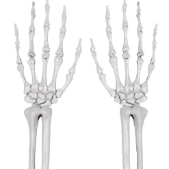 Skeleton Hands