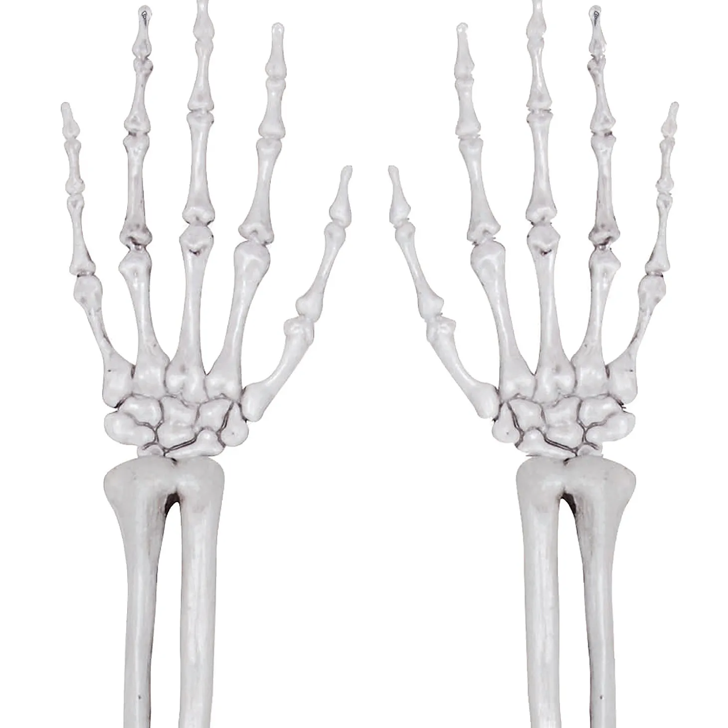 Skeleton Hands