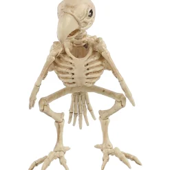 Skeleton Parrot Prop