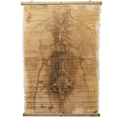 Skeleton Scroll Halloween Decoration