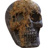 Skull Moss Covered With Jaw