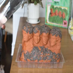 The Golden Girls Rushmore Chia Pet Decorative Planter Toynk Exclusive