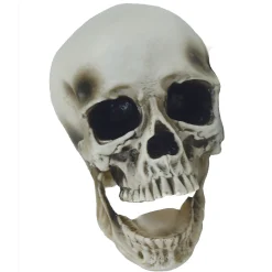 Vinyl Skull Decoration