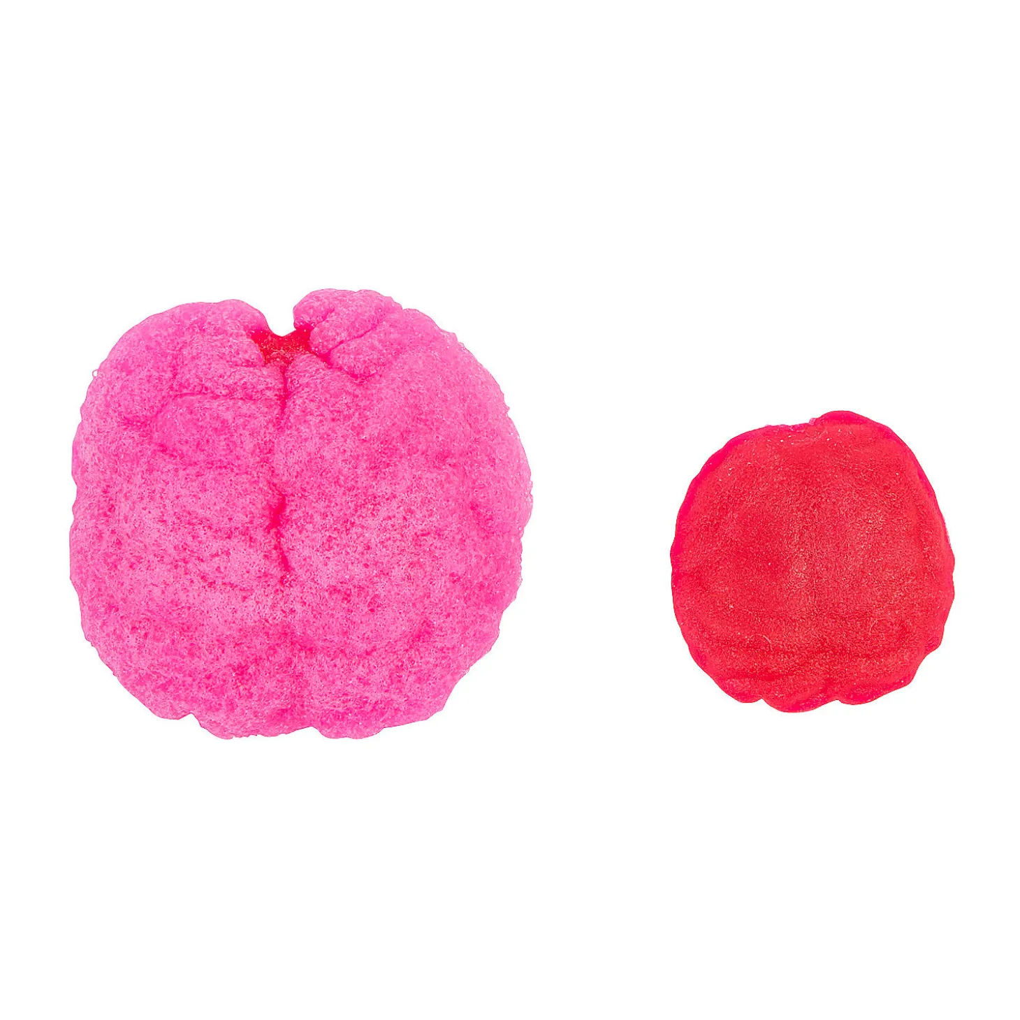 Watch It Grow Brains Water Toy - 36 Pc.