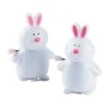 White Bunny Wind-Ups - 12 Pc.